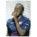 Aly CISSOKHO