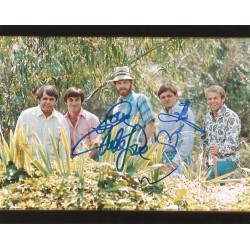 Autographe Bruce JOHNSTON, Mike LOVE & Brian WILSON - BEACH BOYS