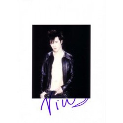 Autographe Nicola SIRKIS - INDOCHINE