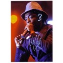 Autographe WILL.I.AM - BLACK EYED PEAS