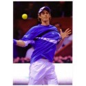 Autographe Andy MURRAY