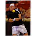 Autographe David NALBANDIAN