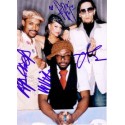 Autographe BLACK EYED PEAS