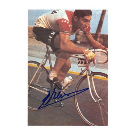 Eddy MERCKX