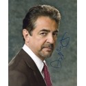 Joe MANTEGNA