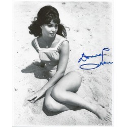 LOREN Donna