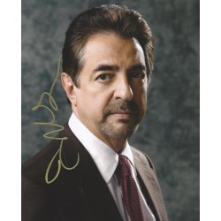 MANTEGNA Joe