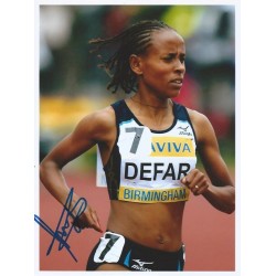 DEFAR Meseret