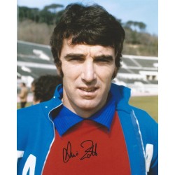 ZOFF Dino