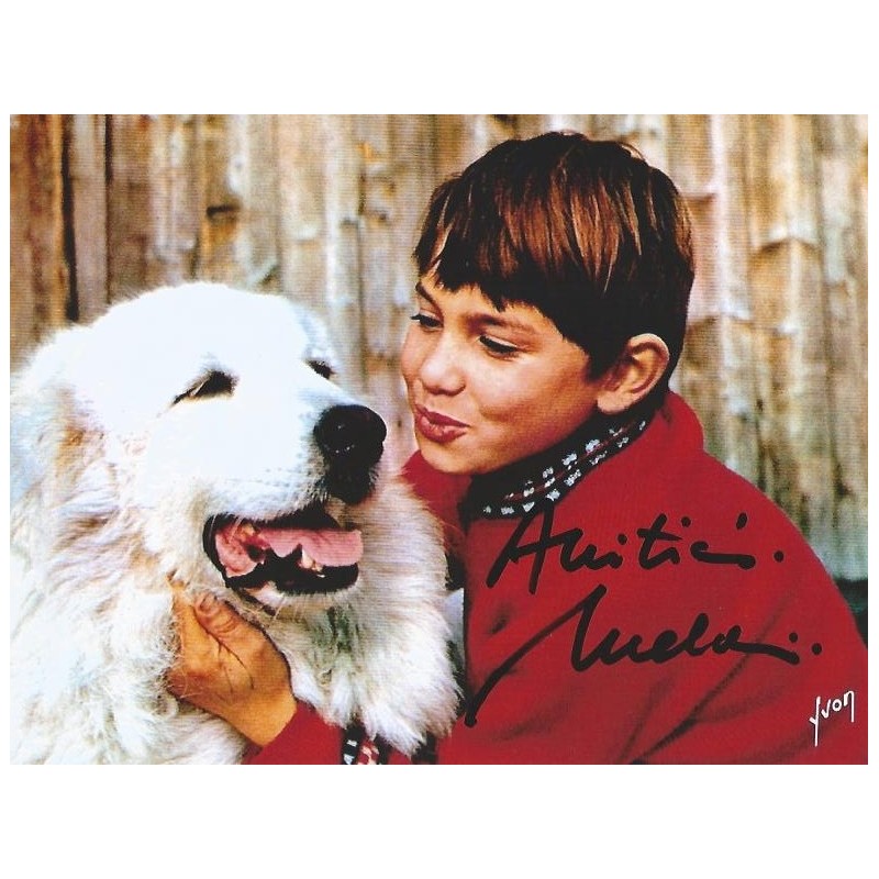 Films Et Séries Tv Avec Mehdi El Glaoui Mehdi EL GLAOUI Autograph