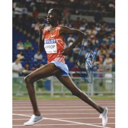 KIPROP Asbel