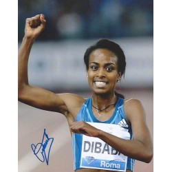 DIBABA Genzebe