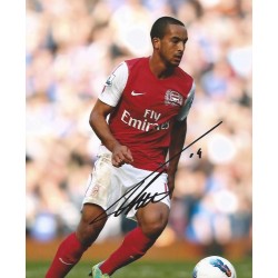 WALCOTT Theo