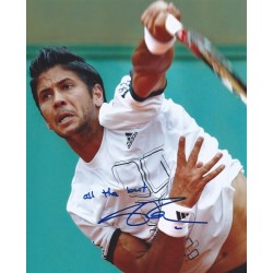 VERDASCO Fernando