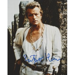 HAUER Rutger