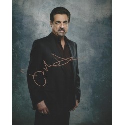 MANTEGNA Joe