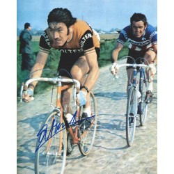 MERCKX Eddy