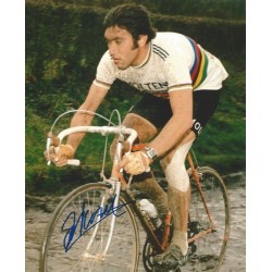 MERCKX Eddy