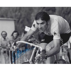 MERCKX Eddy