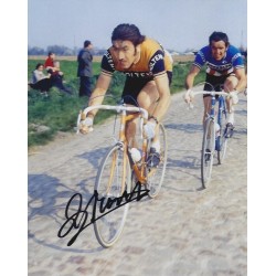 MERCKX Eddy