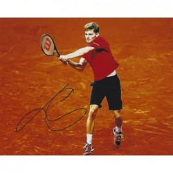 GOFFIN David