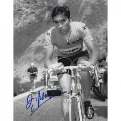 MERCKX Eddy