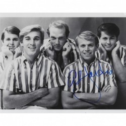 BEACH BOYS - JARDINE Al