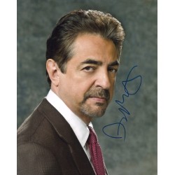 MANTEGNA Joe