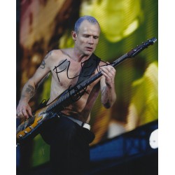 FLEA - RED HOT CHILI PEPPERS