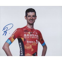 POELS Wout