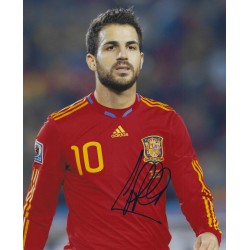 FABREGAS Cesc