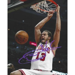 NOAH Joakim