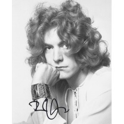 LED ZEPPELIN - PLANT Robert