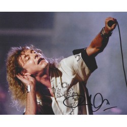 LED ZEPPELIN - PLANT Robert