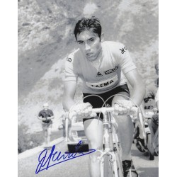 MERCKX Eddy