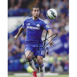 HAZARD Eden