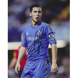 HAZARD Eden