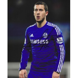HAZARD Eden