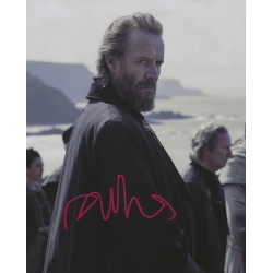 IFANS Rhys