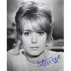 DENEUVE Catherine