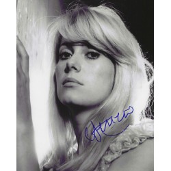 DENEUVE Catherine