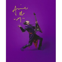 CHEDID Matthieu - -M-