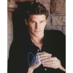 BOREANAZ David