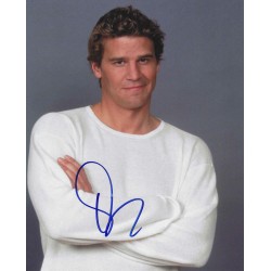 BOREANAZ David
